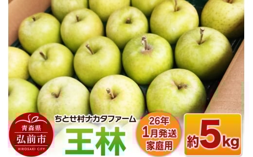【26年1月発送】りんご【家庭用】王林 約5kg【レビューキャンペーン】