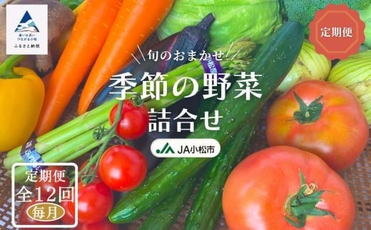 野菜定期便 《JA小松市（毎月） 定期便 12ヵ月》季節の野菜詰合せ 12回 12ヶ月 詰め合わせ 旬野菜