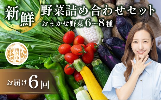 [№5334-0313]【定期便6回】新鮮 野菜 詰め合わせ セット