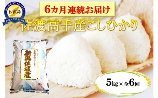 【定期便】佐渡産高千産こしひかり 精米5kg【6ヶ月連続お届け】 2292774 - 新潟県佐渡市