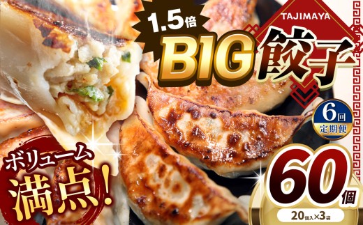 【定期便6回】たじまやオリジナルビッグ 餃子 60個    | TAJIMAYA たじまや タジマヤ 大きい ビッグ BIG 餃子 売れ筋 大人気 好評 やみつき リピーター リピート ぎょうざ 旨み 旨味 ぱりっと もっちり ジューシー おかず 惣菜 中華 肉 肉汁 地場 野菜  たっぷり 焼 ごはん おつまみ 栃木県 真岡市 送料無料  