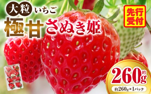 大粒いちご　極甘さぬき姫 約260g  | 果物 フルーツ いちご フレッシュ ジューシー 香り 爽やか 春 真っ赤 旬の果物 人気 おすすめ 贈答 贈り物 青果物 糖度 香川県 三木町 |_mk165-015 2296897 - 香川県三木町