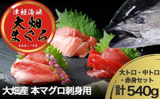 産地直送！　津軽海峡　大畑産　厳選本マグロ刺身用サク(大トロ・中トロ・赤身)食べ比べセット 2292881 - 青森県むつ市