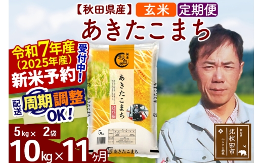※令和7年産 新米予約※《定期便11ヶ月》秋田県産 あきたこまち 10kg【玄米】(5kg小分け袋)  2025年産 お届け時期選べる お届け周期調整可能 隔月に調整OK お米 みそらファーム