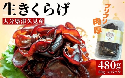 津久見産の肉厚生きくらげ　80g×6パック（480g） |　津久見市　小分　木耳　キクラゲ　国産　くらげ　生キクラゲ　生木耳　日本産　小分け　キクラゲ  きくらげ　国産　きのこ　国産