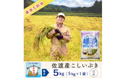 【新米予約 3か月定期便】佐渡島産こしいぶき 白米5Kg 令和7年 ～農薬5割減～ 農家直送 2293728 - 新潟県佐渡市