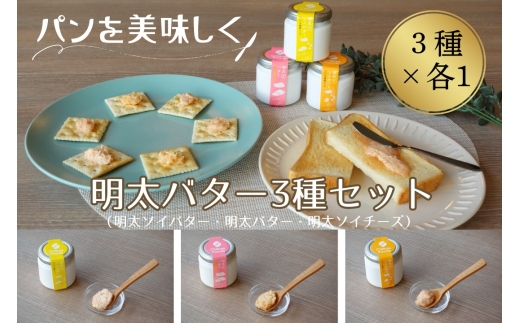 パンを美味しく　明太バター・明太ソイバター・明太ソイチーズ3種セット【ちかえフーズ】_HA1668