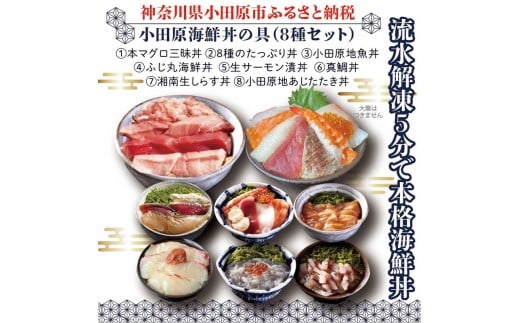 [高級食材本マグロ、曽我の梅干し、小田原地あじ、小田原港直送地魚丼、大磯港直送、湘南生しらす]小田原海鮮丼の具(8種セット)[本まぐろ丼 小田原地魚丼 小田原地あじたたき丼 国産活〆真鯛入り酒仕込み 神奈川県 小田原市 ]