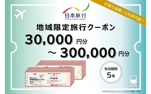 香川県 丸亀市 日本旅行 地域限定旅行クーポン15,000円〜300,000円分 旅行 トラベル クーポン ホテル 旅館 宿泊 観光 体験 グルメ レジャー