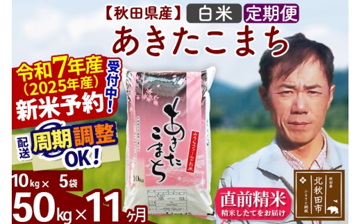 ※令和7年産 新米予約※《定期便11ヶ月》秋田県産 あきたこまち 50kg【白米】(10kg袋) 2025年産 お届け時期選べる お届け周期調整可能 隔月に調整OK お米 みそらファーム
