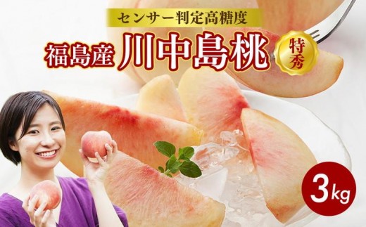 透過式光センサー川中島白桃 特秀3kg相当 9玉〜11玉[ ふくしま未来農業協同組合 ] | ふくしま 桃 福島 もも 国見 モモ ※2026年8月中旬頃より順次発送予定 ※沖縄・離島への配送不可