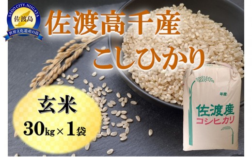 【令和７年産】佐渡高千産こしひかり 玄米 30kg×1袋 2292773 - 新潟県佐渡市