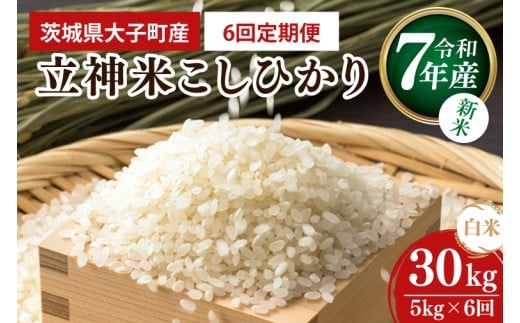 【6ヶ月定期便】【新米】令和7年産 立神米こしひかり（白米）定期便 5kg ×6回｜茨城県 大子町 コシヒカリ 米 コンテスト 受賞 生産者 大子産米 産地直送（BT071）