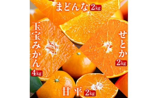 ＜発送月固定定期便＞「蜜時(みつどき)便り」愛媛限定のまどんなや甘平も届きます＜H64-92＞全4回_みかん ミカン マドンナ 紅まどんな同品種 甘平 果物 フルーツ 旬 柑橘 柑橘類 甘い 定期便 果物旬 【4069712】