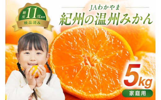 JAわかやま　紀州の温州みかん（家庭用）5kg