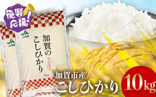 【10月発送】復興応援米 令和7年産こしひかり 10kg(5kg×2袋) F6P-2926 2293014 - 石川県加賀市