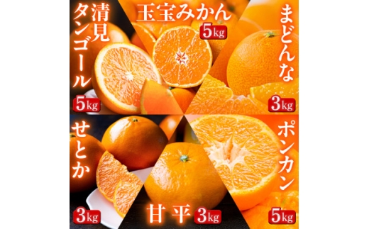 ＜発送月固定定期便＞「蜜時(みつどき)便り」みかんやまどんな、甘平、せとかなど＜H64-93＞全6回【4069713】