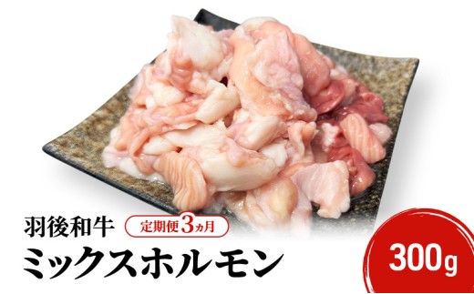 《 定期便 3ヵ月 》 秋田県 羽後町産 羽後和牛 ミックスホルモン 300g 【 焼肉 ホルモン BBQ バーベキュー キャンプ 】 2266656 - 秋田県羽後町