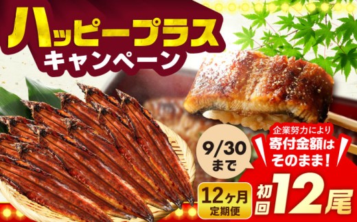 【全12回定期便】福岡県産 うなぎ 蒲焼 大 12尾　計1,920g（1尾あたり 160g以上）《豊前市》【福岡養鰻】 国産 鰻 ウナギ 蒲焼き [VAD029]