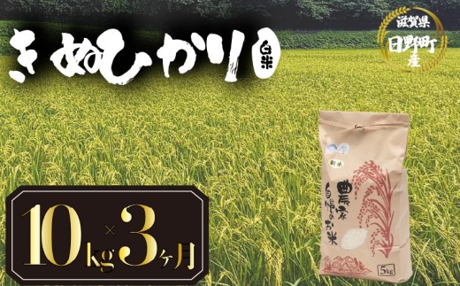 【 令和7年産 新米 10kg 定期便 3ヶ月 】 きぬひかり 米 白米 国産 滋賀県 日野町 農家直送 お米 おこめ こめ 産地直送 ふるさと納税