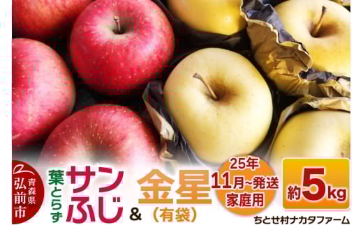 【25年11月発送】りんご【家庭用】葉取らずサンふじと金星（有袋）約5kg【レビューキャンペーン】