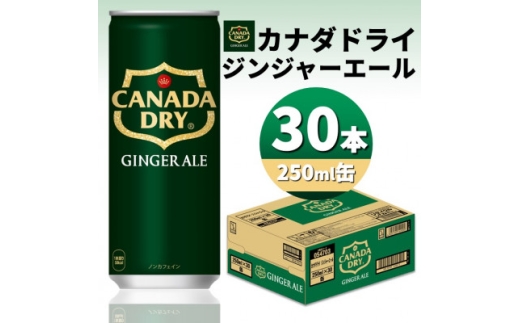 カナダドライジンジャーエール250ml缶×30本【1551264】 1509996 - 富山県砺波市
