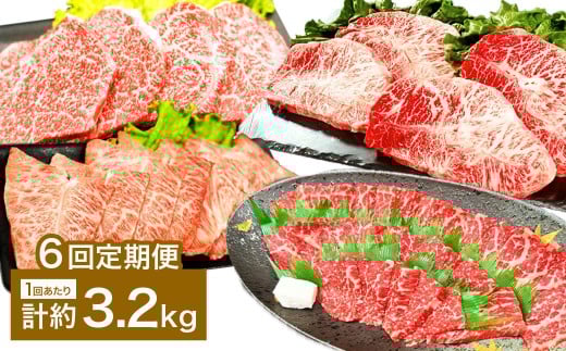 【6カ月定期便】 【焼肉？ ステーキ？ 赤身とミスジを味わう！】 おおいた和牛 赤身焼肉・ミスジ焼肉・赤身ステーキ・ミスジステーキ 約3.2kg×6回 計約19.2kg