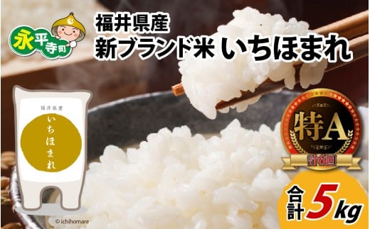 令和7年度産 福井県産新ブランド米 いちほまれ 5kg [A-002025] 856241 - 福井県永平寺町