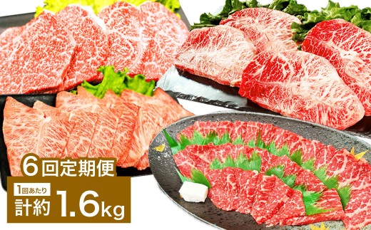 【6カ月定期便】 【焼肉？ ステーキ？ 赤身とミスジを味わう！】 おおいた和牛 赤身焼肉・ミスジ焼肉・赤身ステーキ・ミスジステーキ 約1.6kg×6回 計約9.6kg
