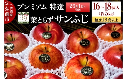 【26年1月～発送】りんご 【 数量限定 】糖度13度以上 「特選」プレミアム 葉とらずサンふじ 約 5kg 16～18個【レビューキャンペーン】
