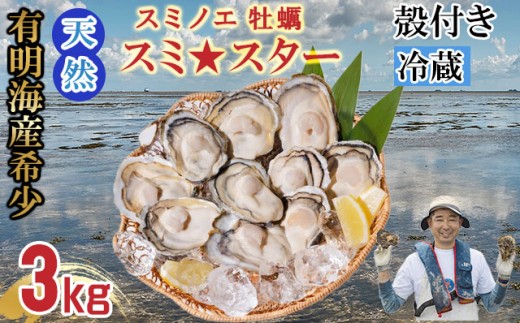 【2月配送】【先行予約】天然 有明海産「冷蔵スミノエ牡蠣」スミ☆スター3Kg 殻付き牡蠣 はしま海苔  2168281 - 佐賀県小城市