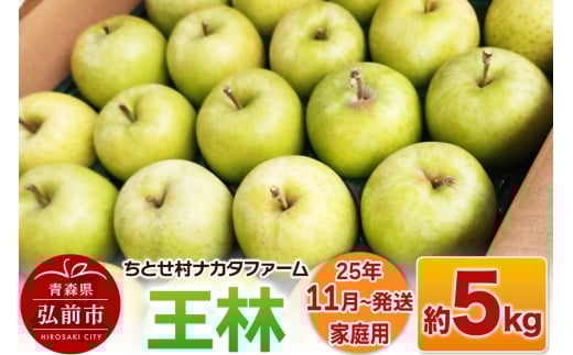 【25年11月発送】りんご【家庭用】王林 約5kg【レビューキャンペーン】