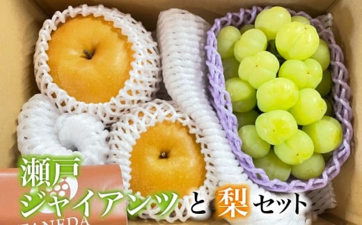【数量限定】瀬戸ジャイアンツと梨のセット（ぶどう ブドウ 梨 果物 セット 詰め合わせ フルーツ 贈答用 限定） 2292250 - 宮崎県小林市