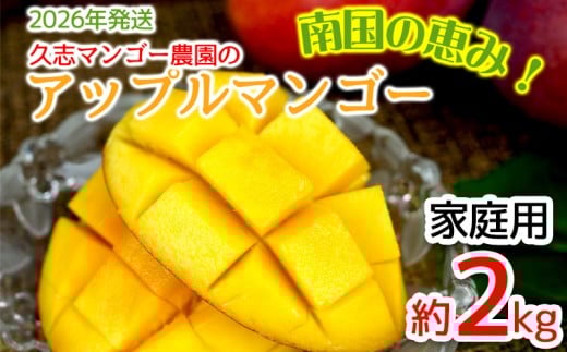 【2026年発送】久志マンゴー農園のアップルマンゴー家庭用（約2kg） アーウィン 果物 甘い 夏 濃厚 ギフト Mango ランキング 完熟 お気に入り 美味しい 人気 おすすめ フルーツ 沖縄県 先行予約 食品 デザート 産地直送 送料無料 1163763 - 沖縄県宜野座村