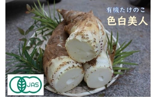 [来春先行予約]有機JAS認証 白子たけのこ 「色白美人」 3.5kg