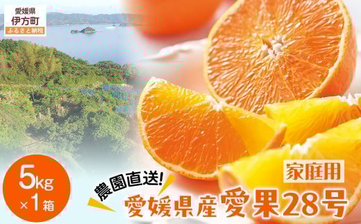 [先行予約][数量限定]＼農園直送/愛媛県産 愛果28号(家庭用) 5kg×1箱(サイズ混合)(2025年12月中旬より順次発送) [ ふるさと納税 人気 おすすめ ランキング 柑橘 みかん ミカン 蜜柑 愛果28号 紅 まどんな と同品種 果物 フルーツ 家庭用 岡市農園 愛媛県産 愛媛県 伊方町 送料無料 ]I