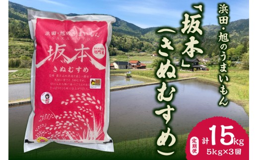 浜田・旭のうまいもん「坂本」きぬむすめ 5kg×3回 [118_1191]