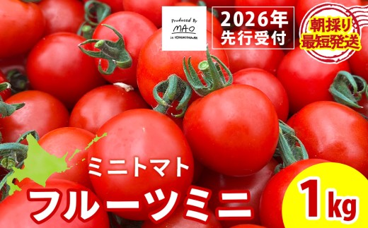 [2026年先行予約][朝採れ最短発送!]フルーツミニ ミニトマト1kg