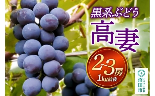沼田市産 ぶどう 高妻 2～3房（1kg前後）