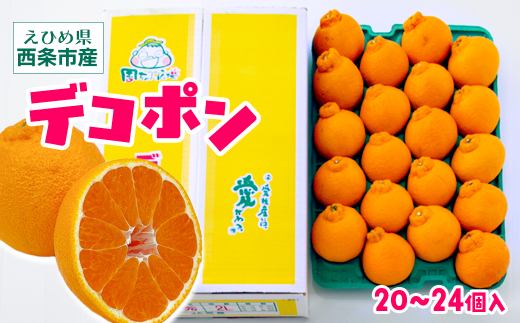 デコポン 柑橘 でこぽん （2Lサイズ20個入またはLサイズ24個入）　愛媛県西条市 【先行予約・2026年2月下旬～3月下旬発送】｜  柑橘 かんきつ でこぽん しらぬい みかん 旬 期間限定 果物 フルーツ お取り寄せ 愛媛県 西条市