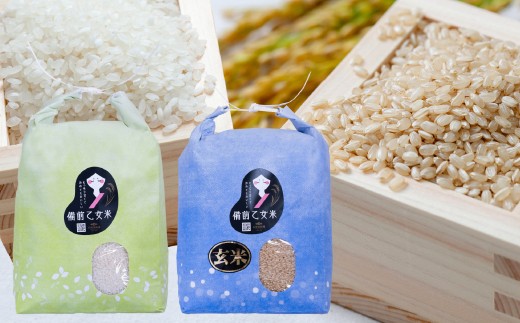 備前乙女米 白米5kg×1袋・玄米5kg×1袋 合計10kg 米 お米 白米 玄米 コメ 特A 精米 岡山県 倉敷市【2025年10月下旬-2026年9月下旬発送予定】