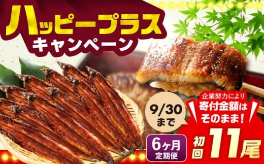 【全6回定期便】福岡県産 うなぎ 蒲焼 大 11尾　計1,760g（1尾あたり 160g以上）《豊前市》【福岡養鰻】 国産 鰻 ウナギ 蒲焼き [VAD028]