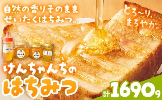 けんちゃんちのはちみつ  200g 300g 460g 730g 全部セット《30日以内に出荷予定（土日祝除く）》ふるさと納税 はちみつ ハチミツ 蜂蜜 国産蜂蜜 天然蜜蜂 徳島県 佐那河内村 送料無料
