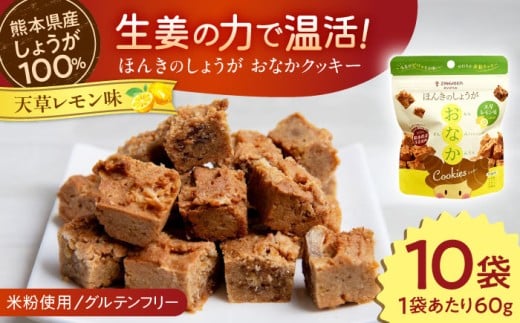 ほんきのしょうが おなかクッキー 天草レモン味10袋セット[ジンジベル] [AYAD018]