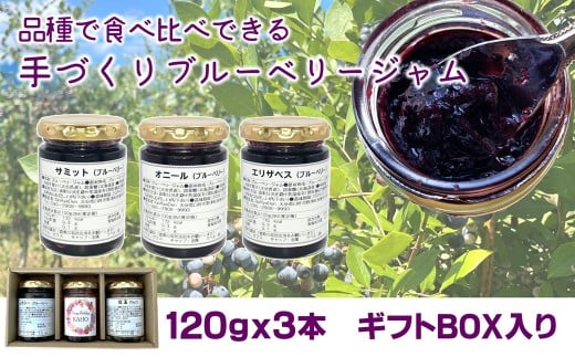 ブルーベリージャム３点セット（ギフトボックス付）120ｇ×3本　無添加　栽培期間中農薬不使用