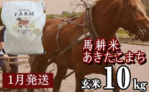 【 2026年 1月中旬より発送】 岩手県産 馬耕米 あきたこまち 玄米 10kg ／【株式会社スタディア】 お米 米 こめ コメ 馬ふん堆肥 使用 ご飯 ライス おにぎり 弁当 単一原料米 10キロ １０kg 馬耕 馬 ウマ うま 産地直送 国産 おすすめ 人気 2291149 - 岩手県滝沢市