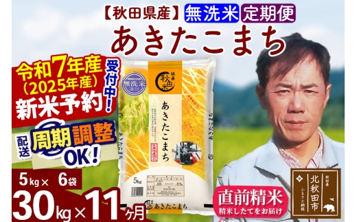 ※令和7年産 新米予約※《定期便11ヶ月》秋田県産 あきたこまち 30kg【無洗米】(5kg小分け袋)  2025年産 お届け時期選べる お届け周期調整可能 隔月に調整OK お米 みそらファーム