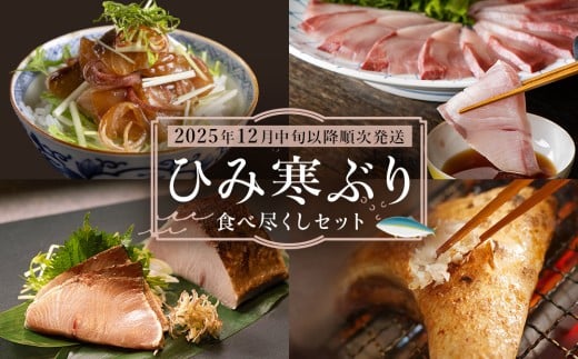 ひみ寒ぶり食べ尽くしセット【2025年12月中旬以降順次発送】 鰤 ブリ 詰め合わせ 冷凍 魚介 富山県 氷見市