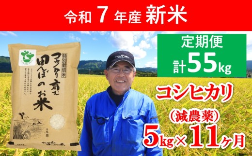 【先行予約】令和7年産 新米 定期便 特別栽培米コシヒカリ 5㎏×11か月 【 先行予約 令和7年産 減農薬 特別栽培米 定期便 コシヒカリ コウノトリ 安心 安全 高リピート 人気 村上ファーム 】