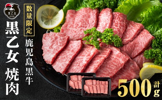 鹿児島黒牛 黒乙女 モモ焼肉 (計500g・250g×2P) 牛肉 焼肉 国産 肉 鹿児島県産 モモ肉 黒乙女